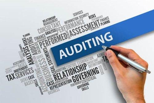 Professional financial audit meeting